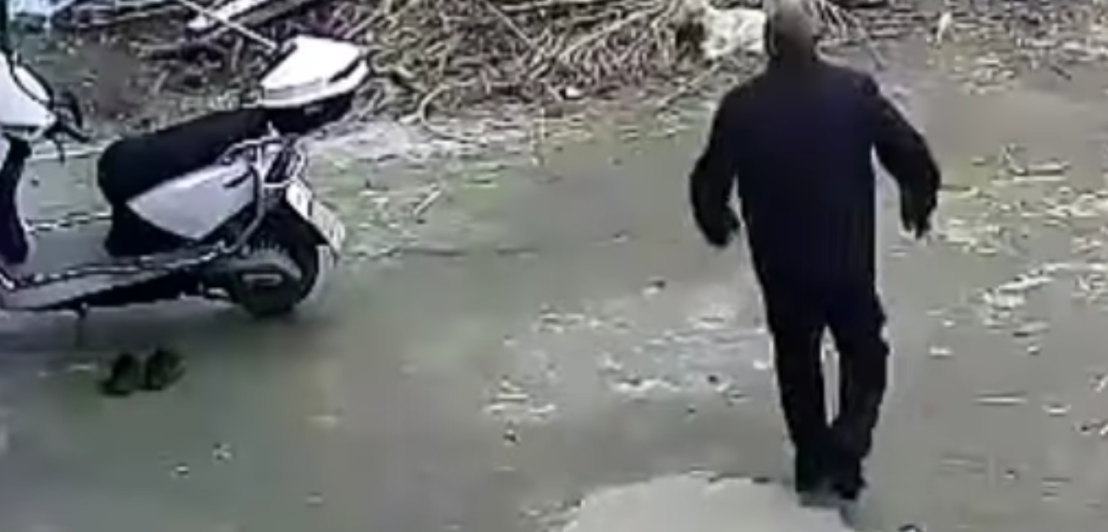 Barnebarnet skriger på hjælp: Se så hvad den svage bedstefar gør