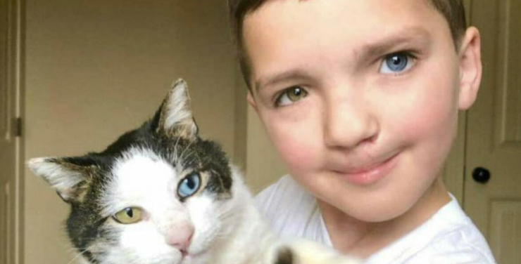 7-årig dreng blev mobbet med sit udseende: Katten Moon ændrede alt