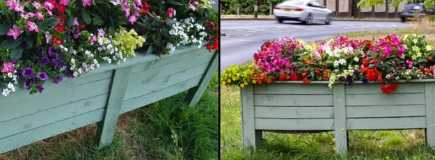 Byråd ville lave smukke blomsterudstillinger: Kom til at plante noget meget ulovligt