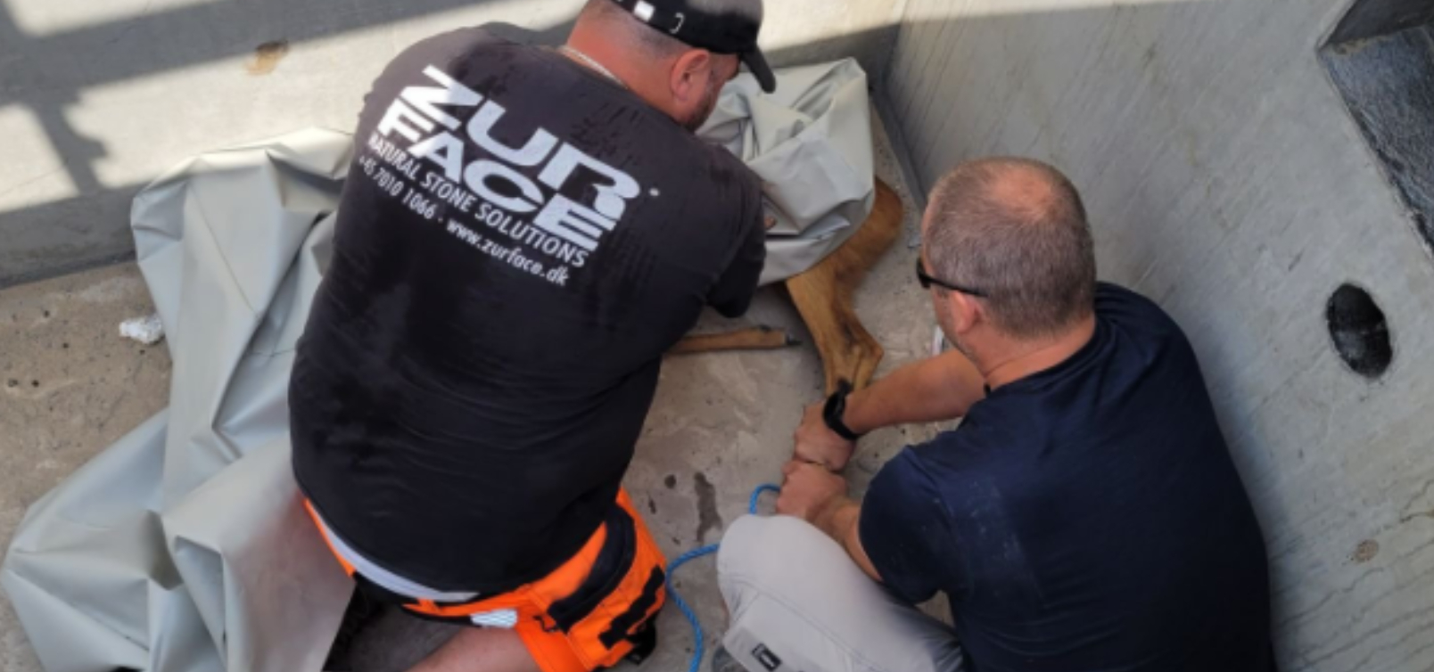 Vild redningsaktion i Aarhus: Dehydreret buk fik bundet sine ben og blev løftet med kran