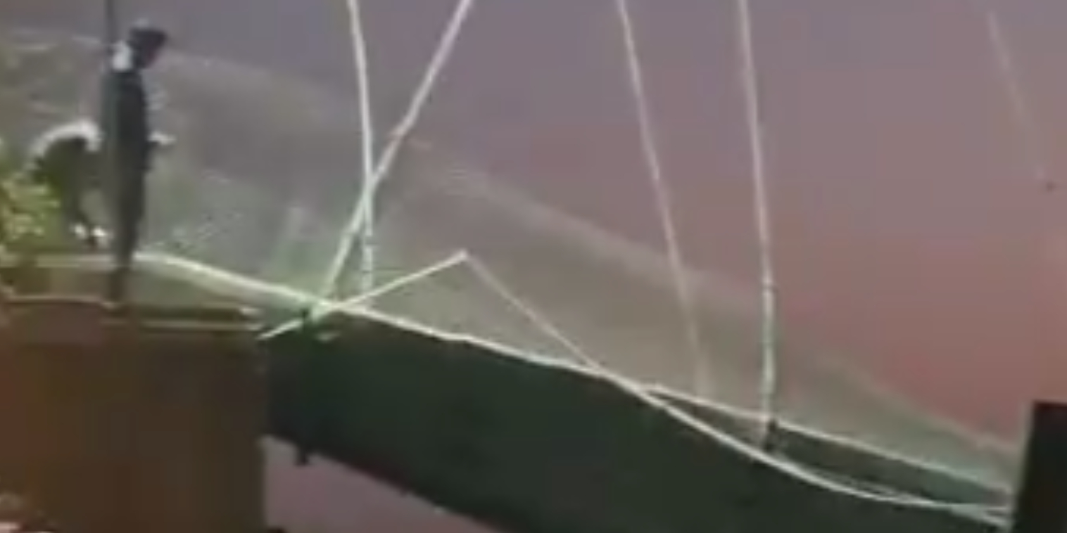 Over 400 mennesker stod på hængebro, da den pludselig kollapsede: Mindst 32 døde