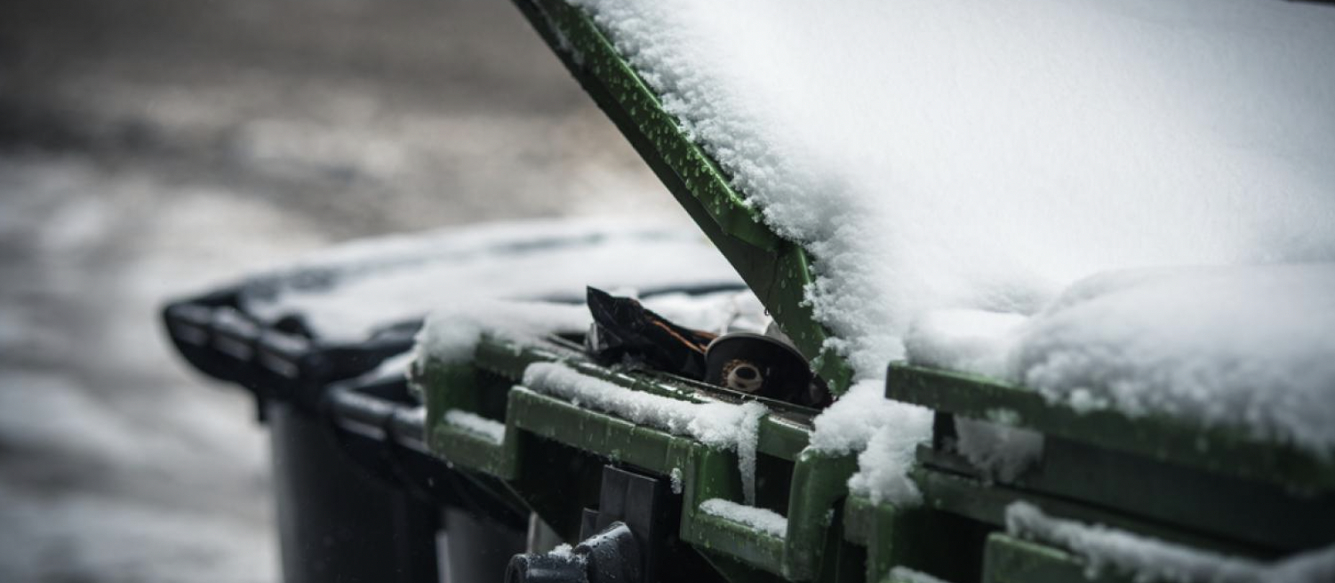 Kvinde i chok over simpel anmodning fra skraldemænd