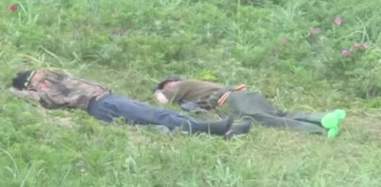 To mænd ligger og sover på græsset: Kort efter får de et besøg, der skræmmer livet af dem