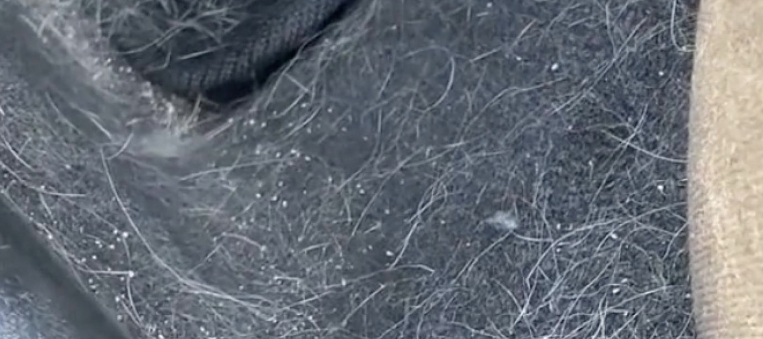 Kvinde har ikke rengjort sin bil i tre måneder: Årsagen bag har fået flere til at tude