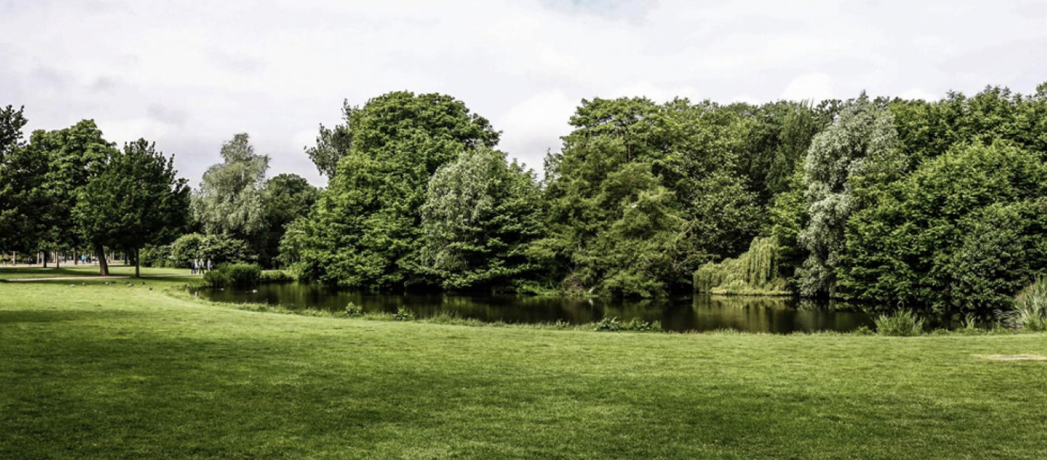 Drabeligt mysterium i dansk park: ‘Det er ikke normalt’