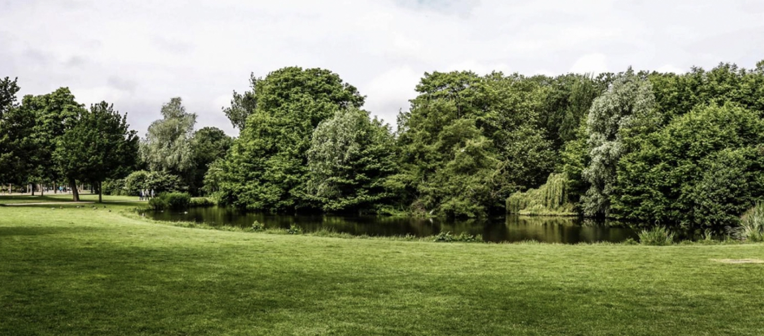 Drabeligt mysterium i dansk park: ‘Det er ikke normalt’