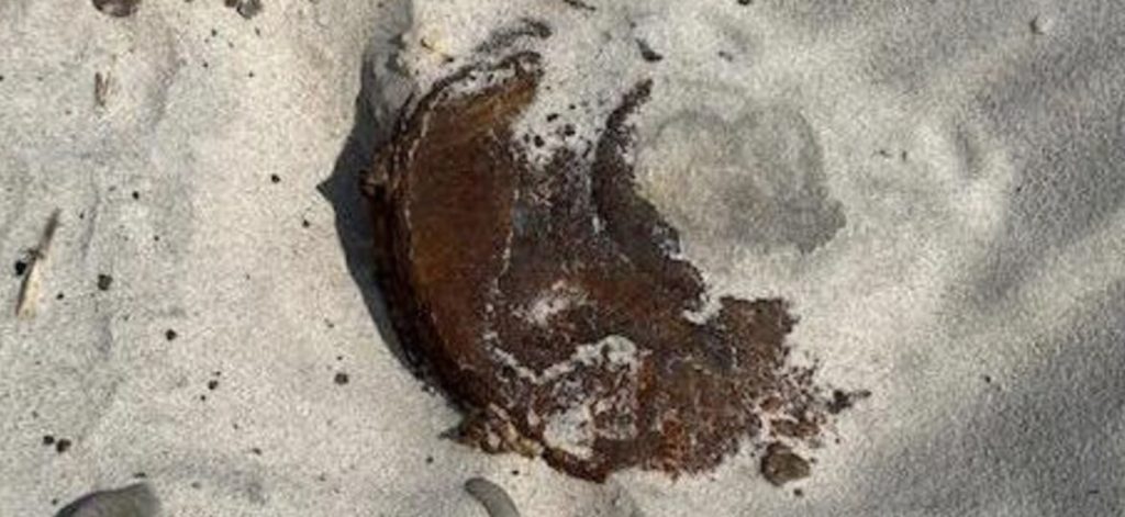 Chokerende fund i Danmark: Bomberyddere tilkaldt