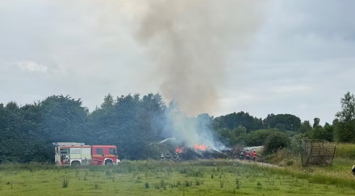 Lokalpoliti mistænker, at en pyroman er på spil: Har du set noget?