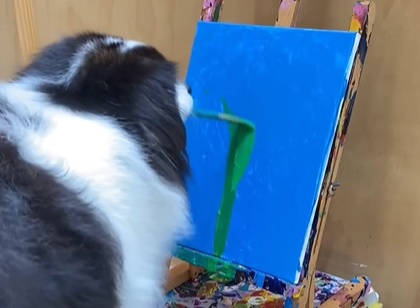 Utrolig video: Hund maler smukt billede af solsikke