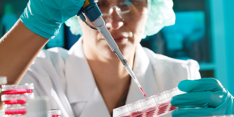 Myndigheder hæver trusselsniveauet: Frygter smitte i maden