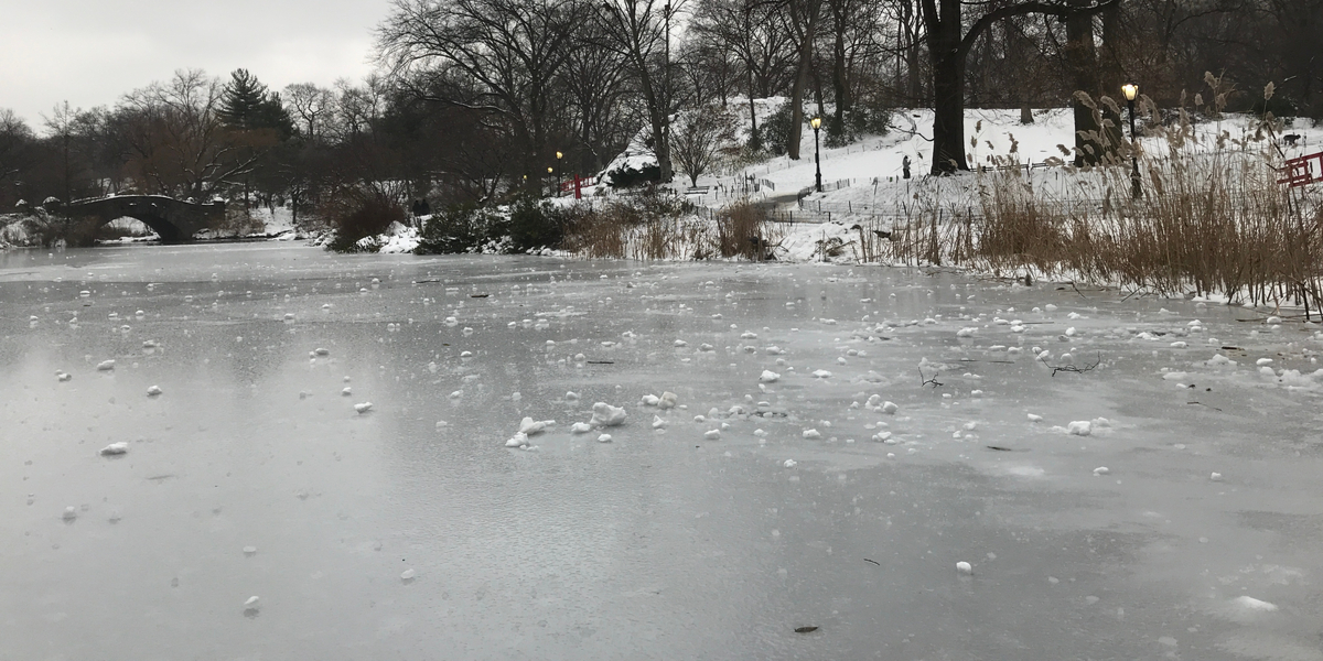 Frosten frister og politiet advarer: Lad være med at gøre det!