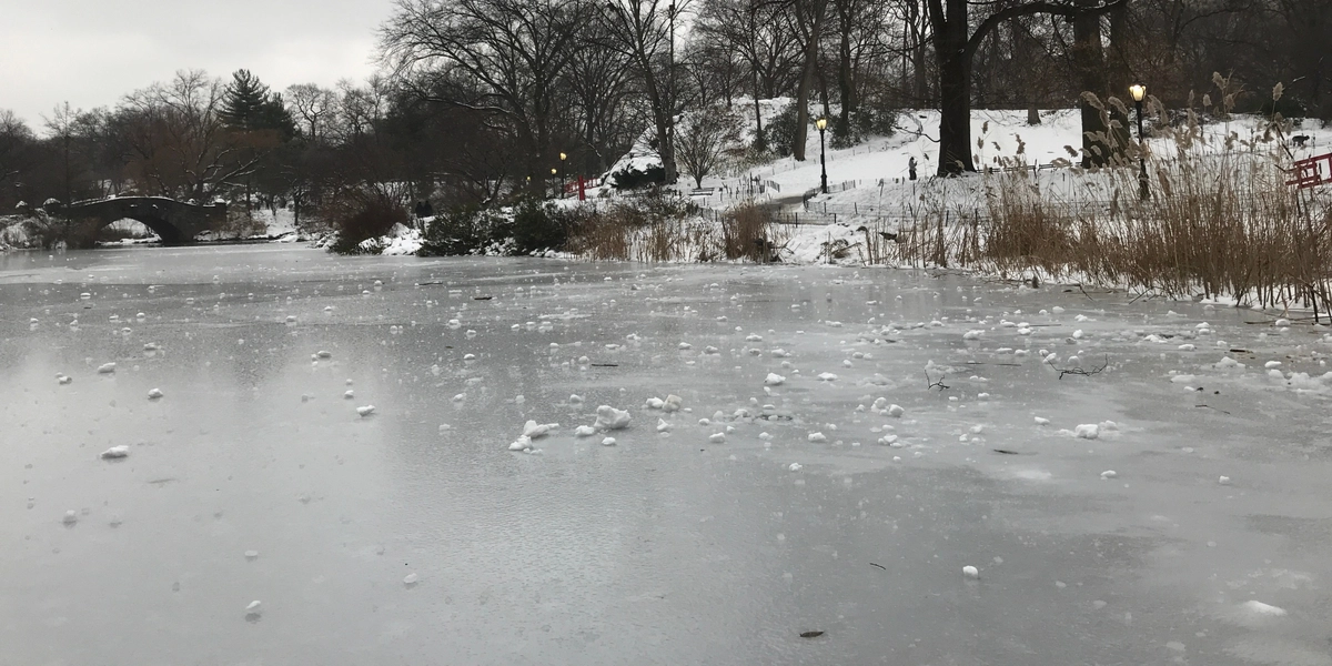 Frosten frister og politiet advarer: Lad være med at gøre det!