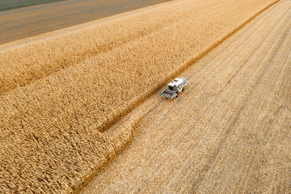 Landmand udsender advarsel: Kan ende i katastrofe