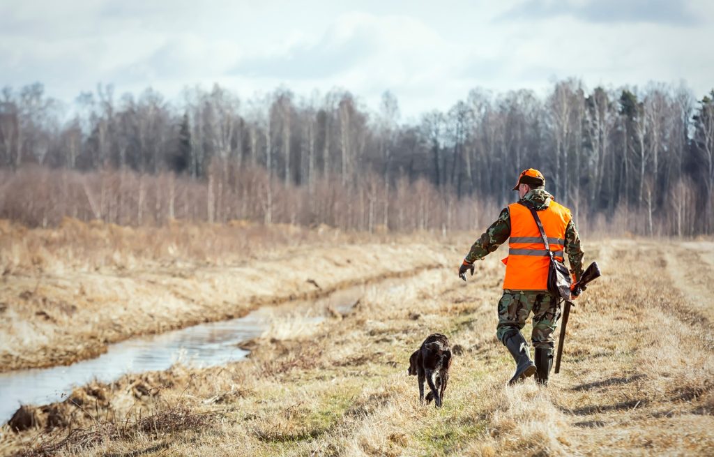 Jægerne efterlader deres hunde til at dø alene: Nu møder de massiv kritik