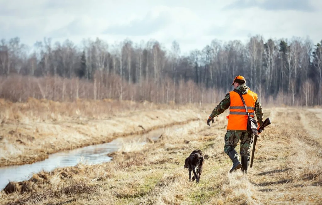 Jægerne efterlader deres hunde til at dø alene: Nu møder de massiv kritik