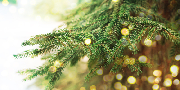 Juletradition lukker omgående