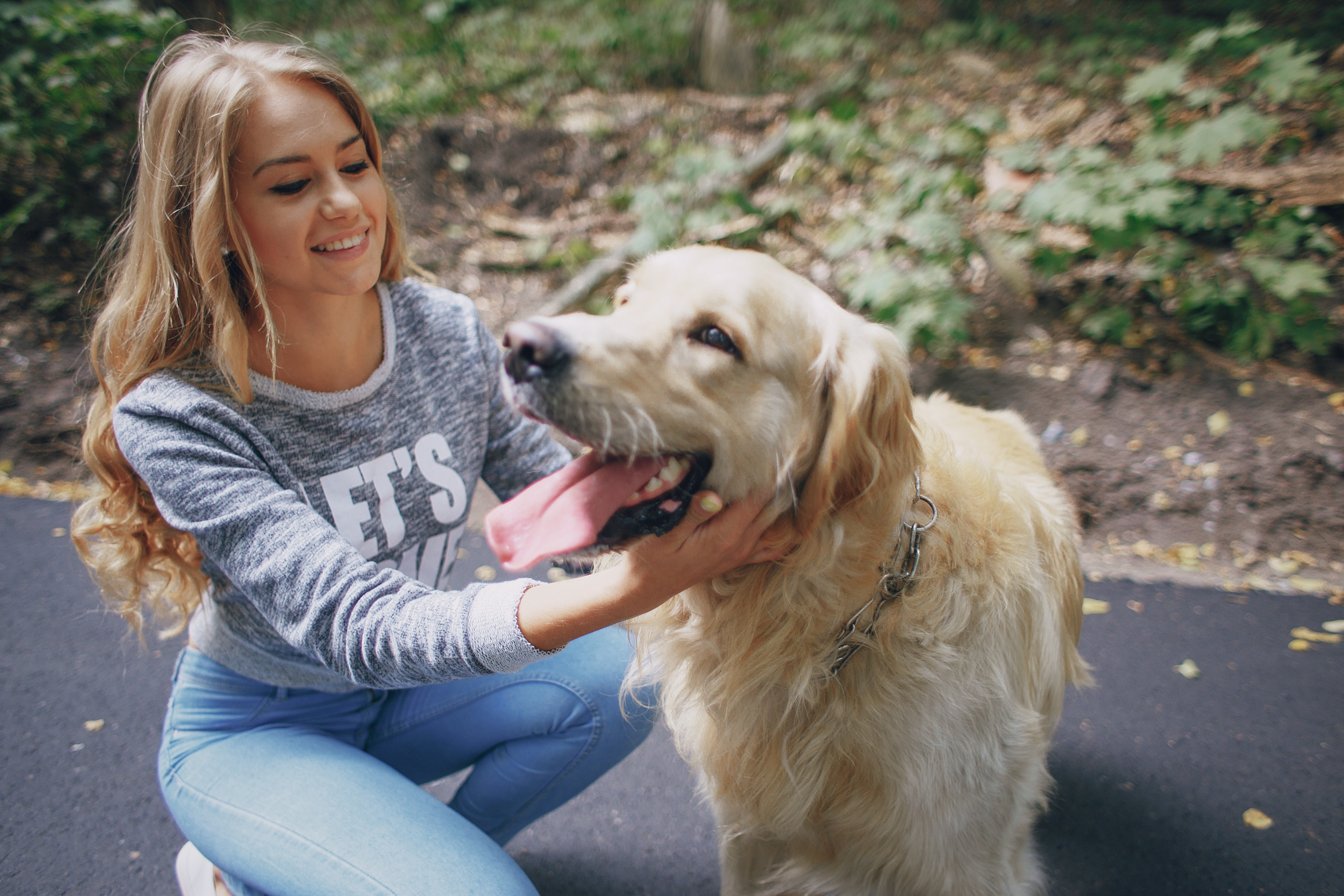 Forskere: Derfor er det klogt at tale hundesprog med sin hund