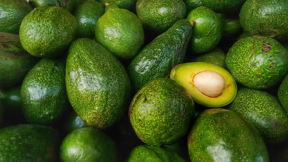Træt af umodne avocadoer? Ny maskine skal hjælpe