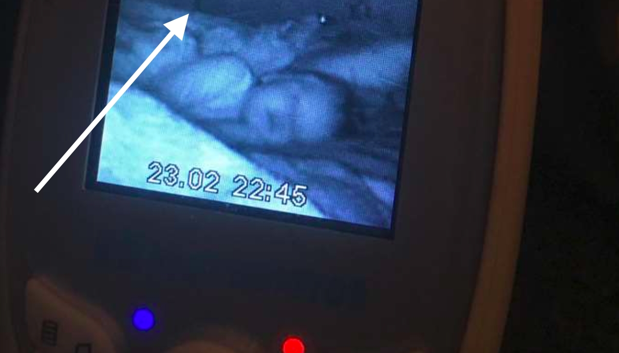 Ung mor gjorde gyser-opdagelse på babyalarmens skærm
