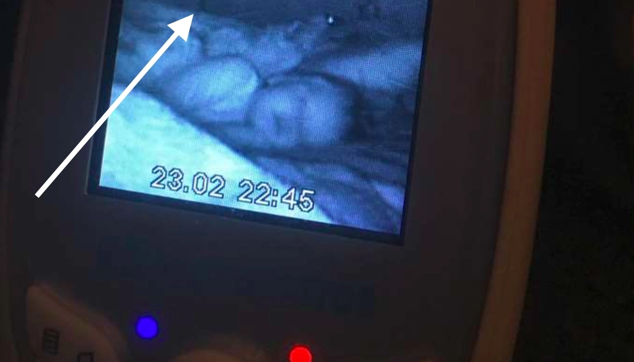 Ung mor gjorde gyser-opdagelse på babyalarmens skærm