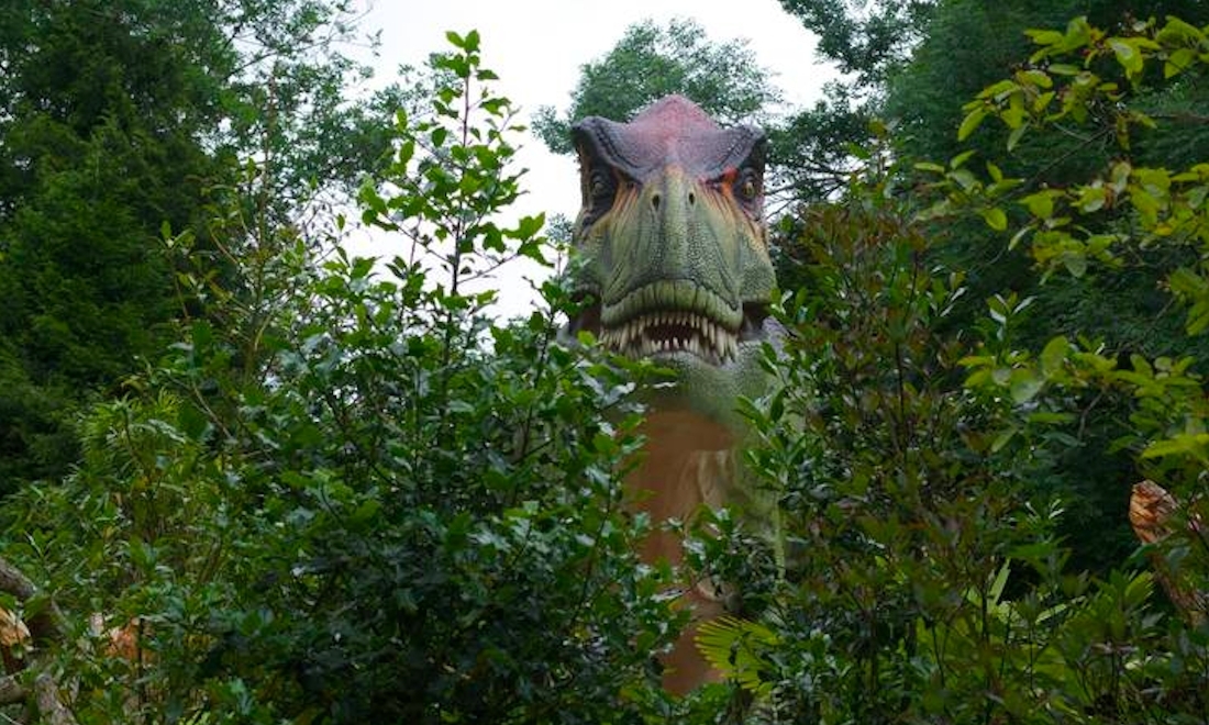 Vild skovtur: Nu åbner Knuthenborg Safaripark kæmpe område med dinosaurer
