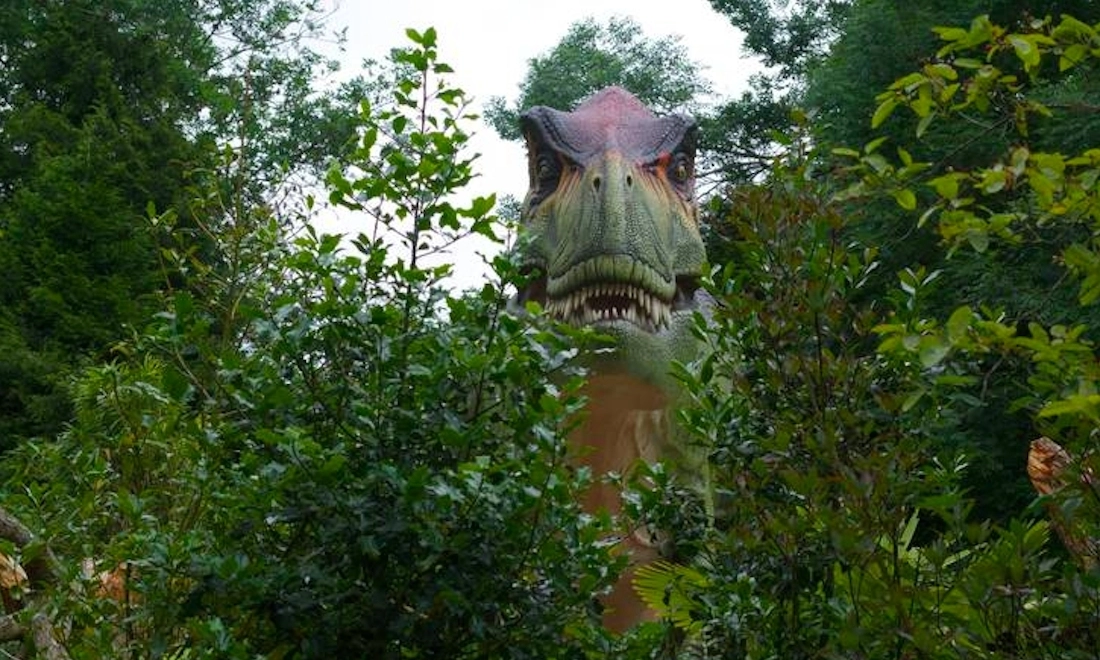 Vild skovtur: Nu åbner Knuthenborg Safaripark kæmpe område med dinosaurer