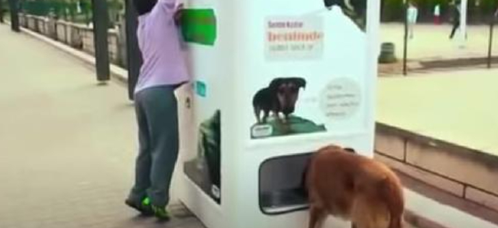 Rørende iniativ: Byt din pant og giv en hjemløs hund mad