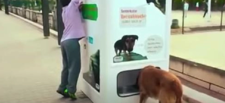 Rørende iniativ: Byt din pant og giv en hjemløs hund mad