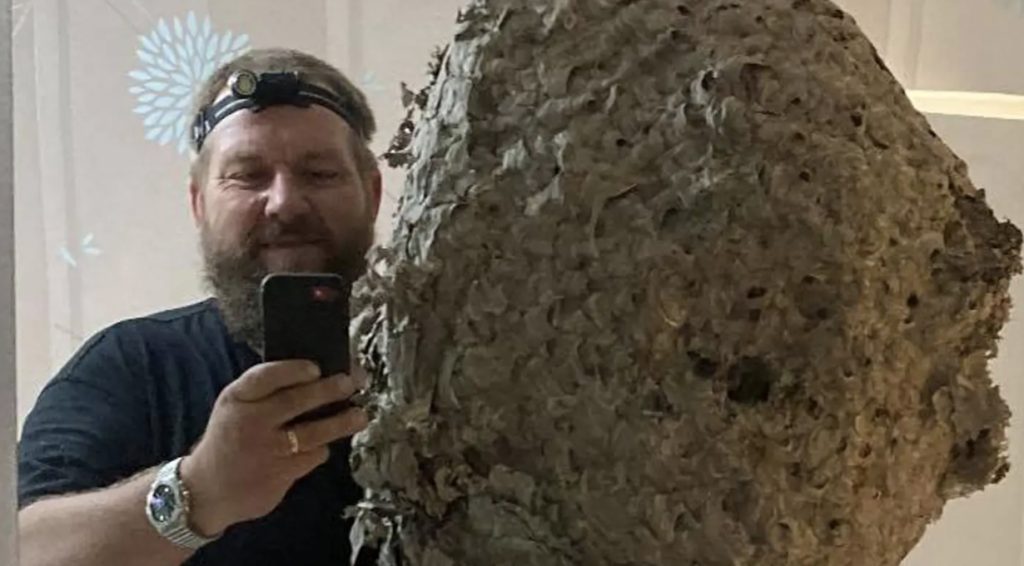 Ralph gjorde vanvittigt fund på loftet: Boet var meget aktivt