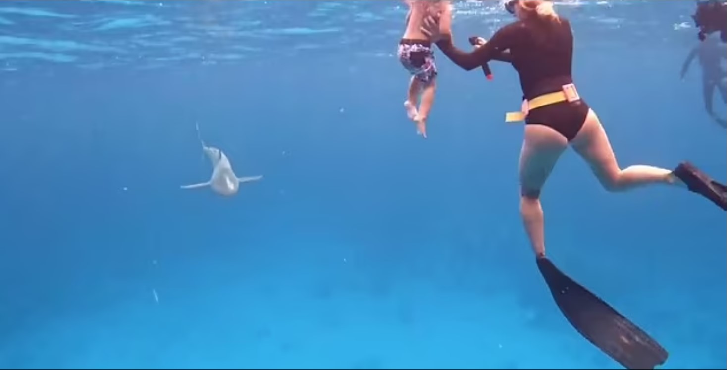 Familie chokerer: Lader 2-årig søn dykke med hajer