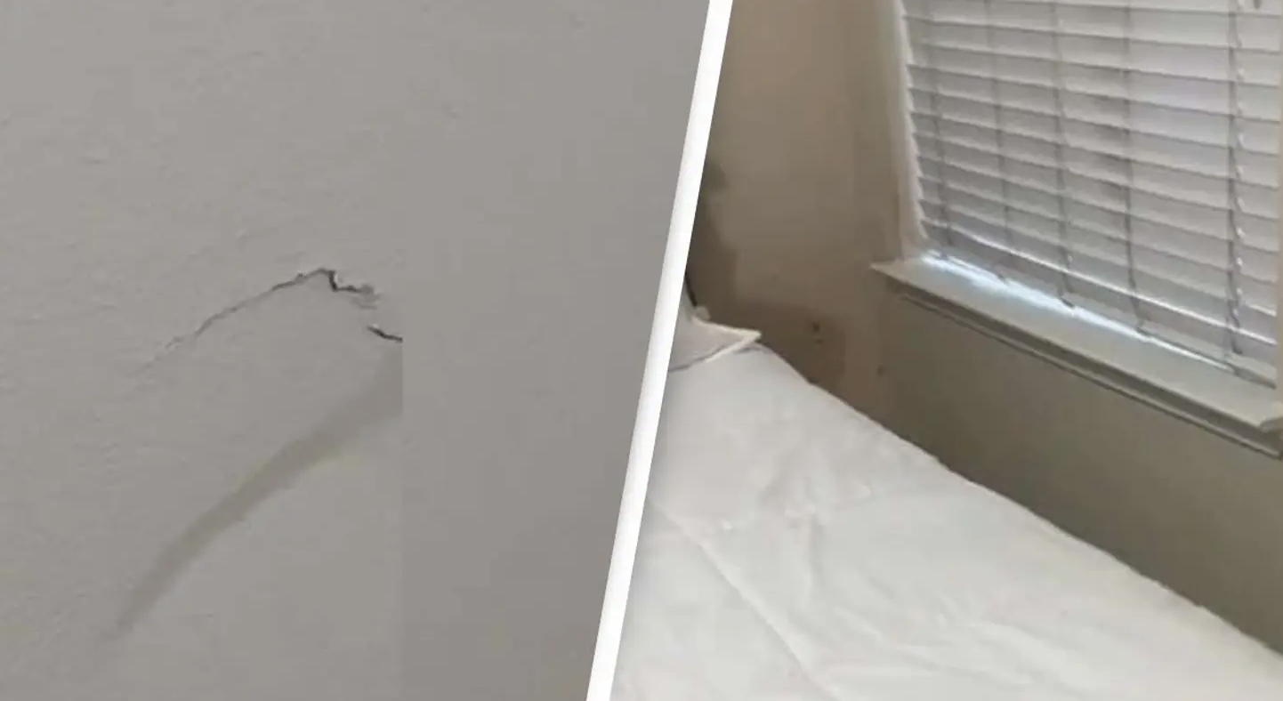 Kvinde lejede Airbnb-hus: Så gjorde hun en uhyggelig opdagelse