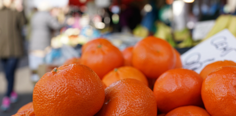 Bjørn skulle lige til at spise en klementin: Så gjorde han et klamt fund