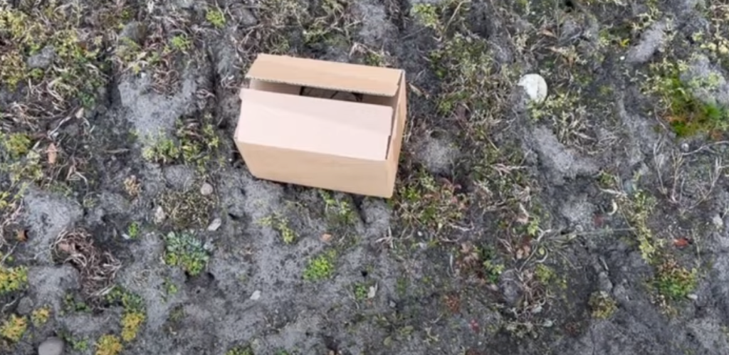 Sådan kan du bruge dine gamle papkasser til at holde haven fri fra ukrudt