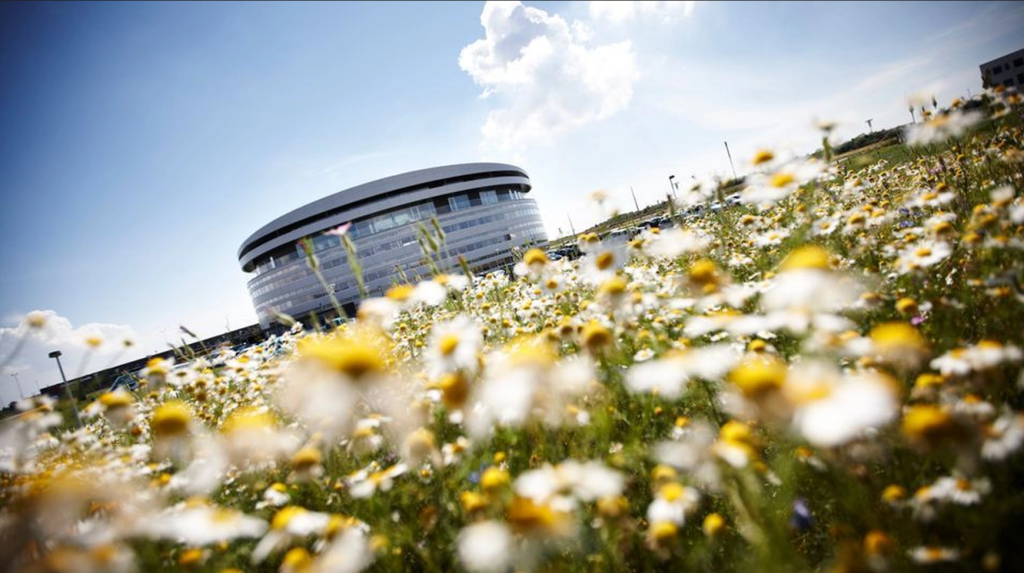 Gave til 800.000 strømkunder: Gratis fra 1. august og året ud