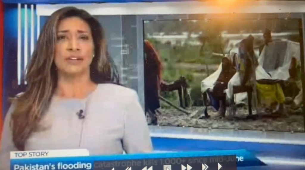 Det hele gik efter planen: Så slugte hun en flue på live-tv