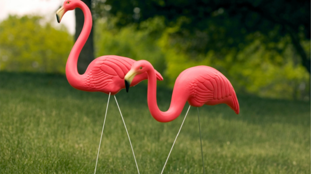 Campister chokerede: Lyserøde flamingoer på campingpladser har særlig betydning