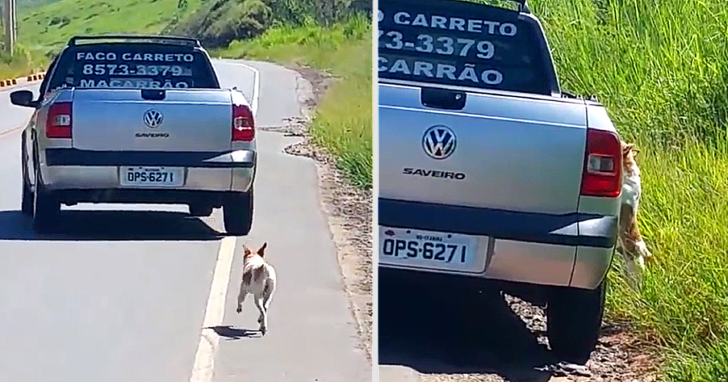 Mand bliver så rørt af viral video med efterladt hund, at han leder efter den og redder den