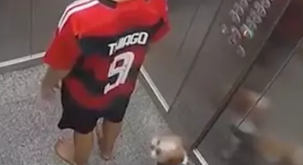 11-årige Thiago redder sin hunds liv, da dens snor sidder fast i elevatoren
