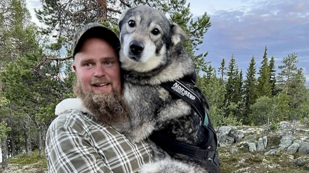 Ole skulle fodre hundene på kennelen – men hvad der så pludseligt sker, får hårene til at rejse sig