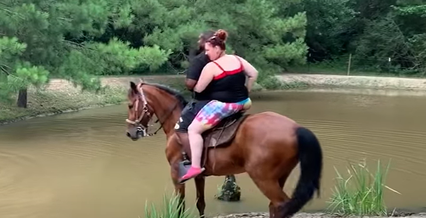 Turister forsøgte at få udmattet hest til at krydse vandet: Så lærte de en vigtig lektie