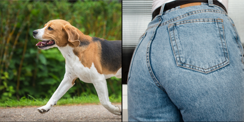 Hendes hund sniffede konstant til hendes bagdel: Den dag i dag er hun taknemmelig