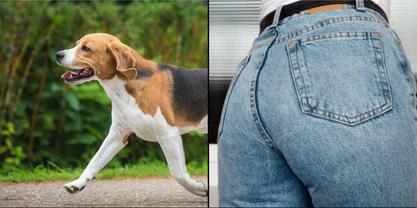 Hendes hund sniffede konstant til hendes bagdel: Den dag i dag er hun taknemmelig