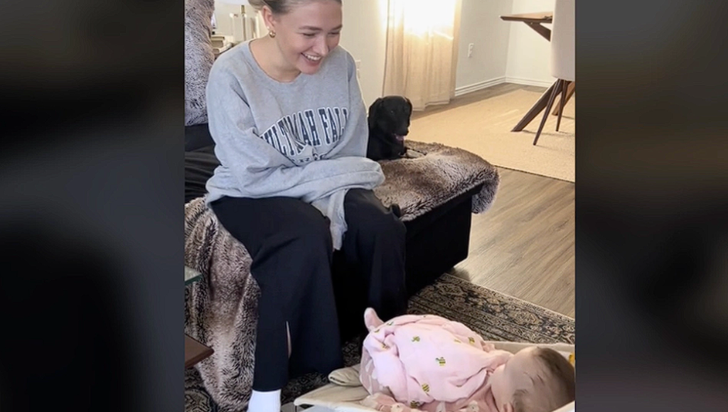Video af jaloux gravhund går viralt: Se dens reaktion på familiens nye baby