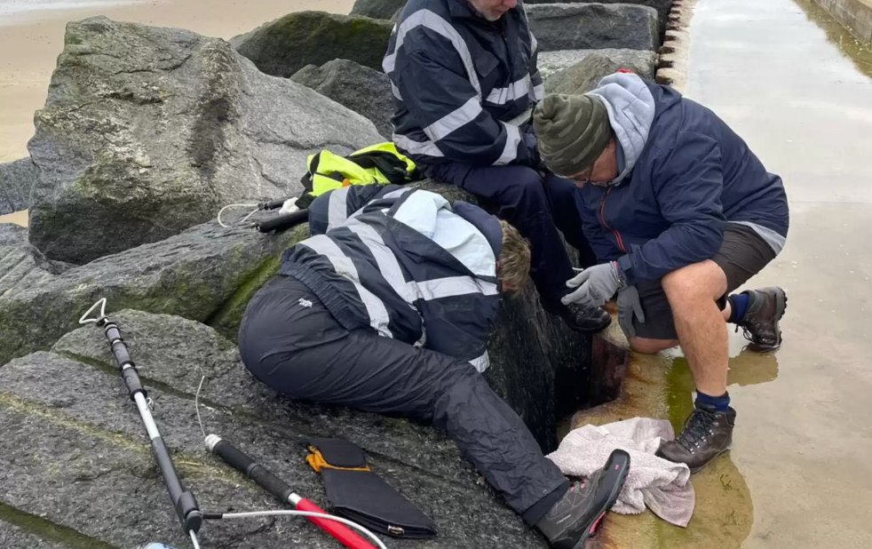Kvinde gik en tur langs stranden: Pludselig så hun et ansigt begravet mellem klipperne