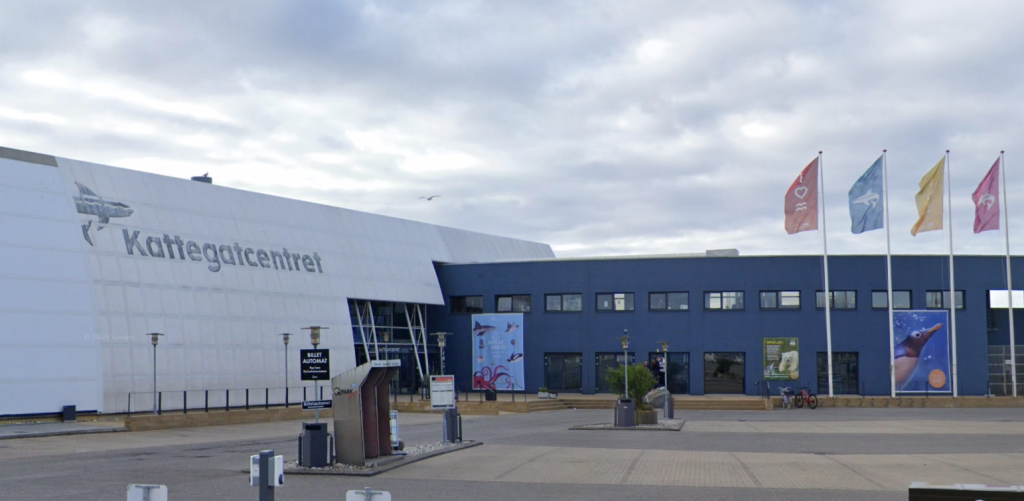 Populær dansk turistattraktion kæmper i den grad med naturens kræfter: Se den opsigtsvækkende video