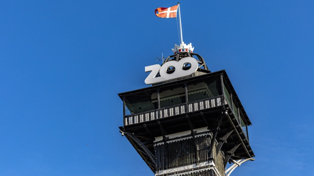København Zoo deler stor nyhed: “Jeg er så spændt”