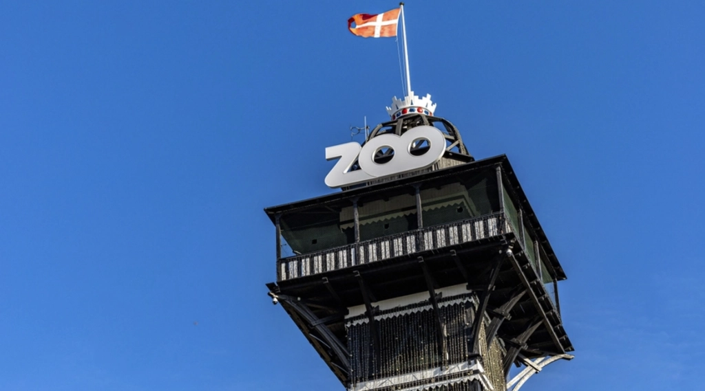 Sker for første gang siden 2015: København Zoo deler stor nyhed