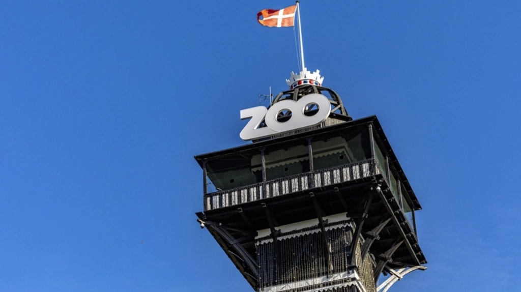 København ZOO er ikke i tvivl: Dette er det ultimativt værste, der kunne ske