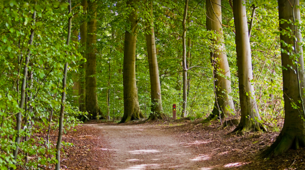 Disse danskere skal være på vagt: Farlig virus har bredt sig til nye områder