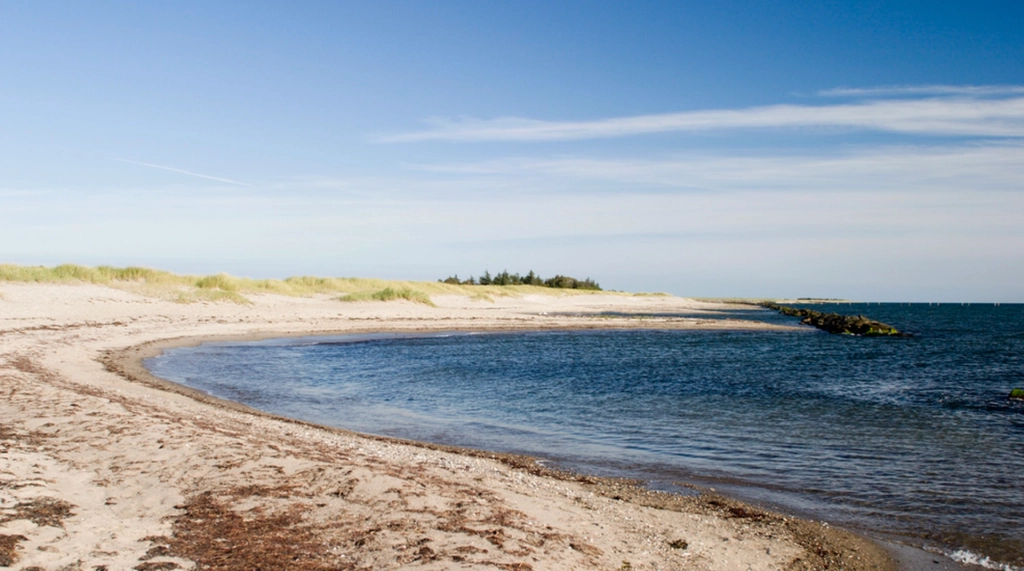 Farlig tendens ses i sommermånederne: Nu kommer livredderne med særlig opfordring